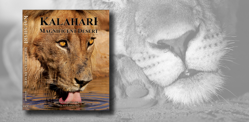 KALAHARI - Magnificent Desert