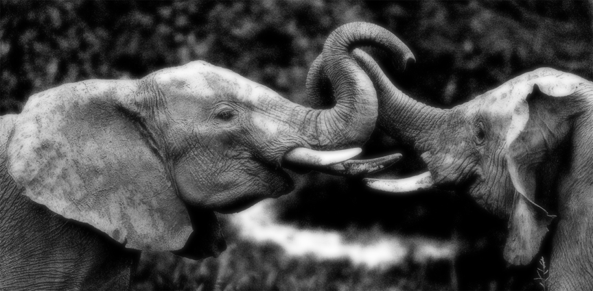 Diamond Coast Sunset